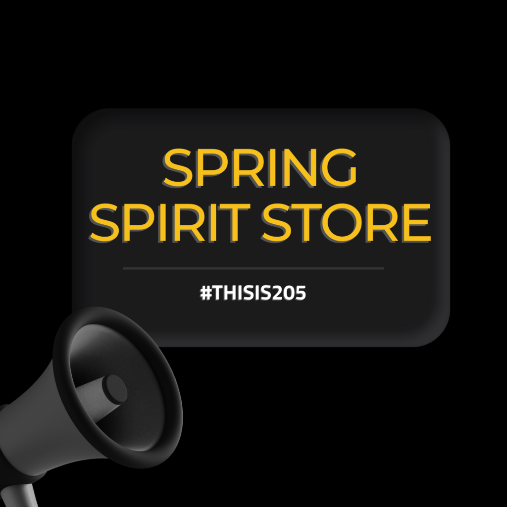 spring spirit store